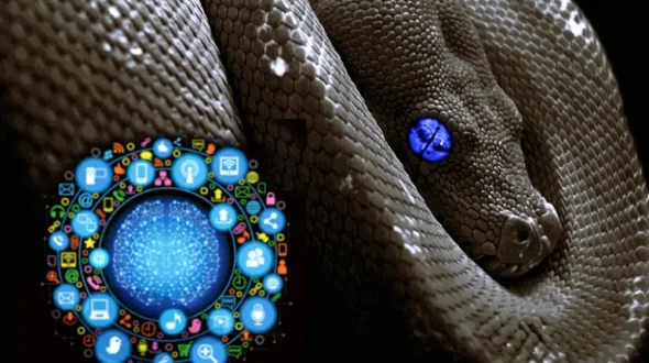 Κακόβουλη παρακολούθηση μέσω διαδικτύου (cyberstalking) ως «όπλο» στα χέρια κακοποιών